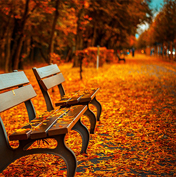 在线短信云呼网