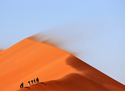 短信测试网站免费