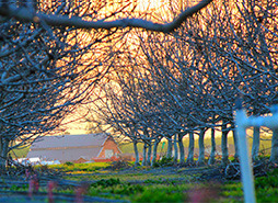 【官方原版安装包】免费下载的免费用虚拟号码发电话