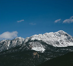 手机号接收平台